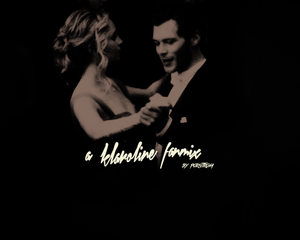  Stubborn love; Klaroline fanmix
