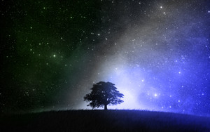  বৃক্ষ and the Stars at Night time~