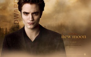  Twilight Saga Vampire