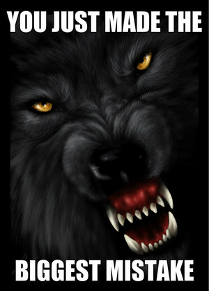  bad भेड़िया