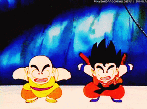  *Goku & Krillin*