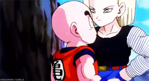 *Krillin & Android 18*