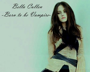  Bella Cullen