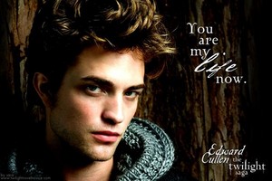  Edward Cullen citations