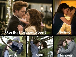  Edward and Bella (Twilight)