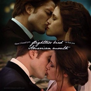  Edward and Bella's kisses