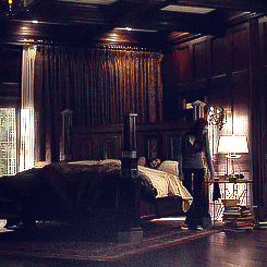  Elena Gilbert + Damon’s bedroom