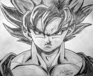  Goku fan art