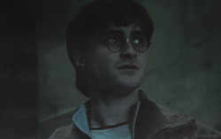  Harry Potter ϟ