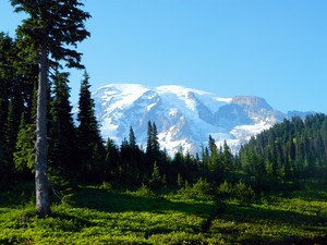  Mount Rainier National Park