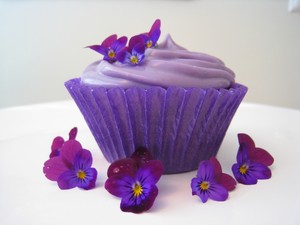  Purple bolo de copo
