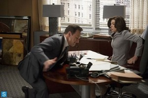  The Good Wife - Episode 5.05 - Hitting the Фан - Promotional фото