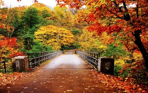  Autumn Hintergrund