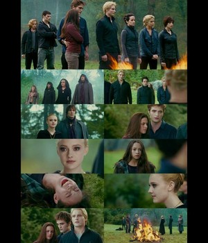  Cullens