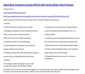  Deep Blue Company Group APIFLO-MH Series Boiler Room Pumps