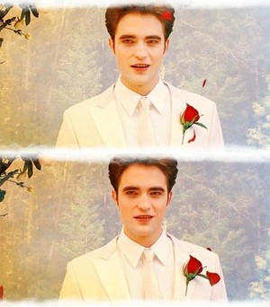  Edward (Bella's wedding nightmare)