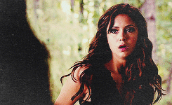  Elena and Katherine - The Vampire Diaries 5×03 “Original Sin”