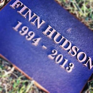  Finn Hudson 1994-2013