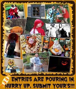  Halloween تصویر Contest 2013