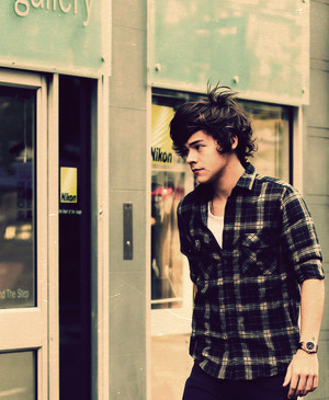  Harry ♚