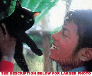 Michael Jackson Holding A Cat