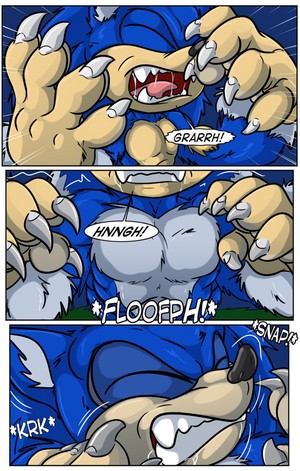 Sonic the Werehog Transformation