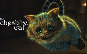  The Cheshire Cat