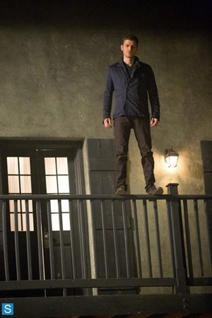  The Originals - Episode 1.05 - Sinners and Saints - Promotional تصاویر
