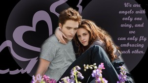  Twilight-BD Hintergrund