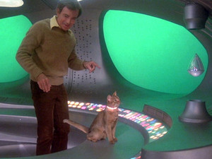  1978 迪士尼 Film, "The Cat From Outer Space"