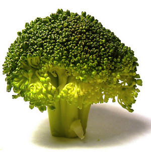  brócoli
