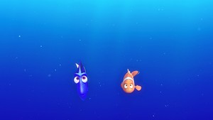  Disney•Pixar Screencaps - Dory & 돛새치과의 큰 물고기, 청새치, 멀 린