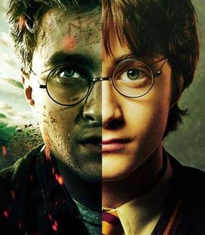  Harry Potter Years 1 & 7