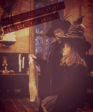  Hermione's Sorting