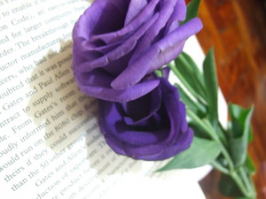  Purple Rose