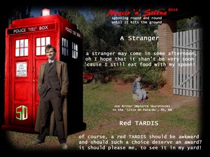 Red TARDIS