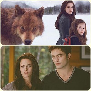 The Cullens