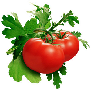 tomate, tomaten