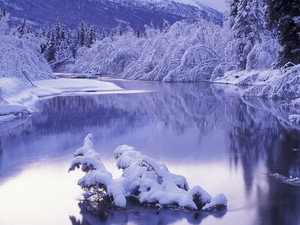 Winter Scenery