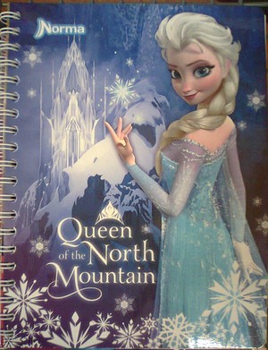  La Reine des Neiges Notebooks