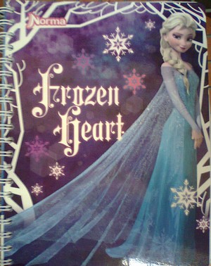  Frozen Notebooks