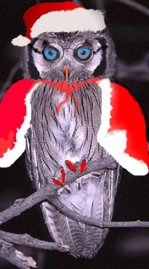  Harriet in a santa suit