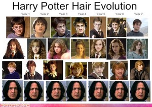  Hair Evolution