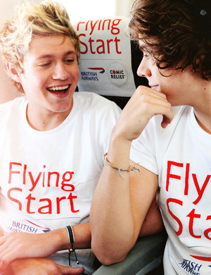  Harry and Niall ♚