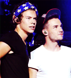  Harry and Liam ♚