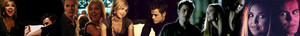  Stefan and Lexi banner