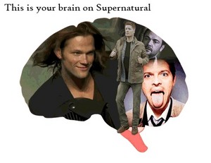  Your Brain On Supernatural