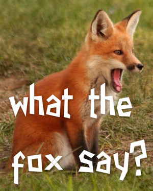  What the rubah, fox say