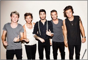  one direction 2013