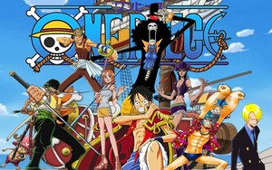  The pirate crew of One Piece